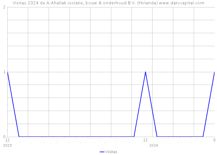 Visitas 2024 de A.Ahallak isolatie, bouw & onderhoud B.V. (Holanda) 