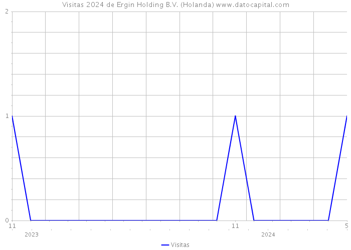 Visitas 2024 de Ergin Holding B.V. (Holanda) 