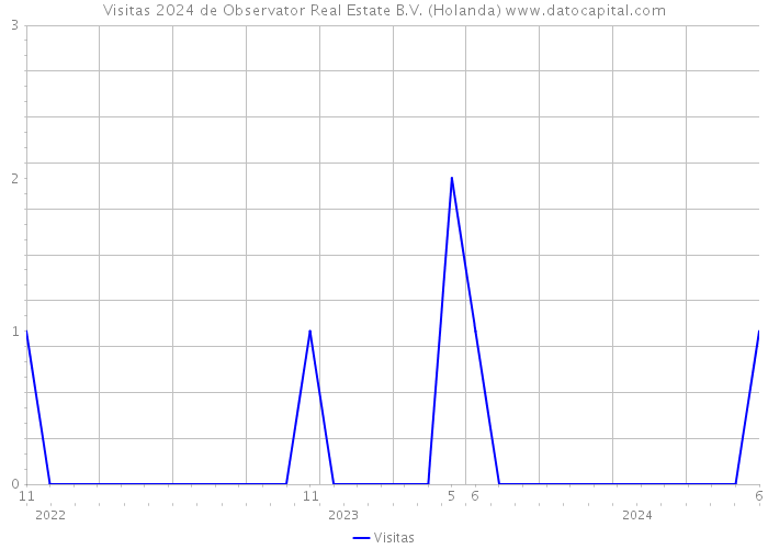 Visitas 2024 de Observator Real Estate B.V. (Holanda) 