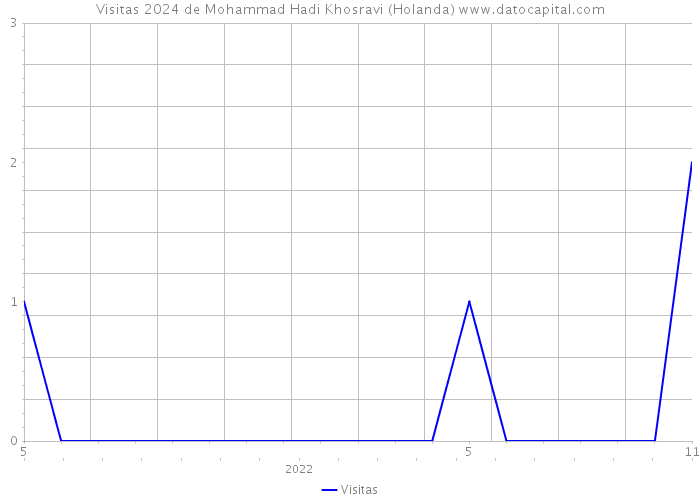 Visitas 2024 de Mohammad Hadi Khosravi (Holanda) 