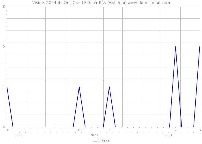 Visitas 2024 de Ons Goed Beheer B.V. (Holanda) 