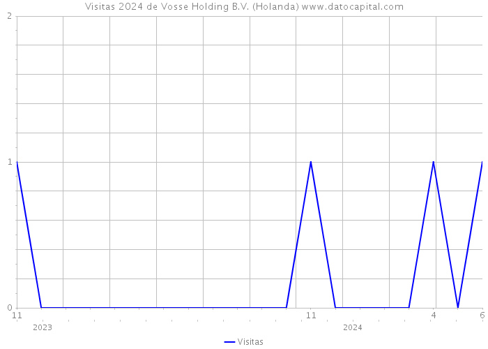 Visitas 2024 de Vosse Holding B.V. (Holanda) 