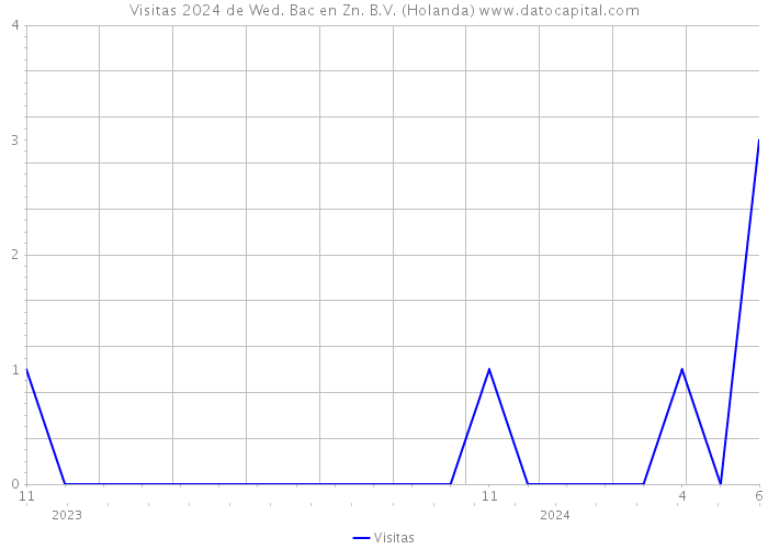 Visitas 2024 de Wed. Bac en Zn. B.V. (Holanda) 