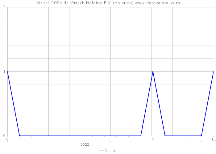 Visitas 2024 de Virtech Holding B.V. (Holanda) 