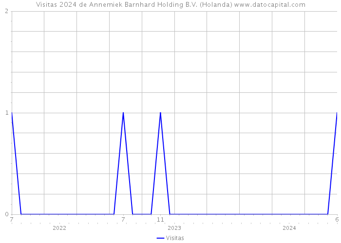 Visitas 2024 de Annemiek Barnhard Holding B.V. (Holanda) 