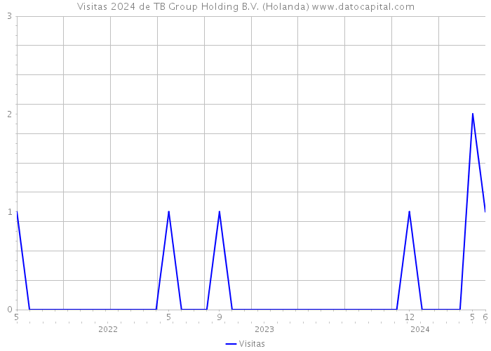 Visitas 2024 de TB Group Holding B.V. (Holanda) 