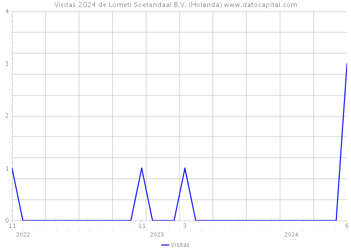 Visitas 2024 de Lometi Soetendaal B.V. (Holanda) 