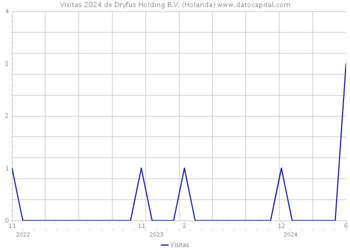 Visitas 2024 de Dryfus Holding B.V. (Holanda) 