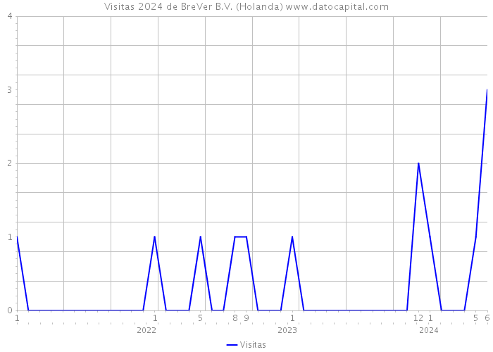 Visitas 2024 de BreVer B.V. (Holanda) 