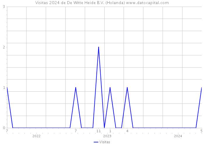 Visitas 2024 de De Witte Heide B.V. (Holanda) 