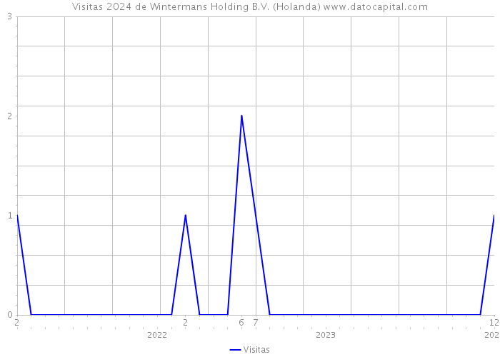 Visitas 2024 de Wintermans Holding B.V. (Holanda) 