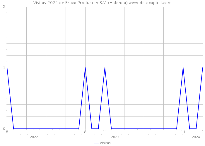 Visitas 2024 de Bruca Produkten B.V. (Holanda) 