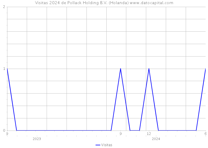 Visitas 2024 de Pollack Holding B.V. (Holanda) 