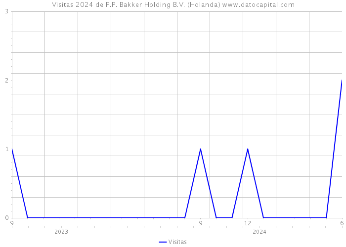 Visitas 2024 de P.P. Bakker Holding B.V. (Holanda) 