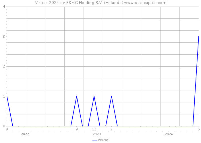 Visitas 2024 de B&MG Holding B.V. (Holanda) 