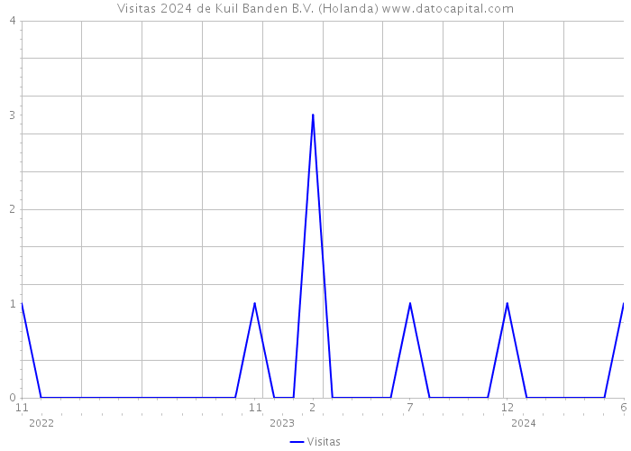 Visitas 2024 de Kuil Banden B.V. (Holanda) 