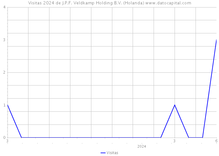 Visitas 2024 de J.P.F. Veldkamp Holding B.V. (Holanda) 