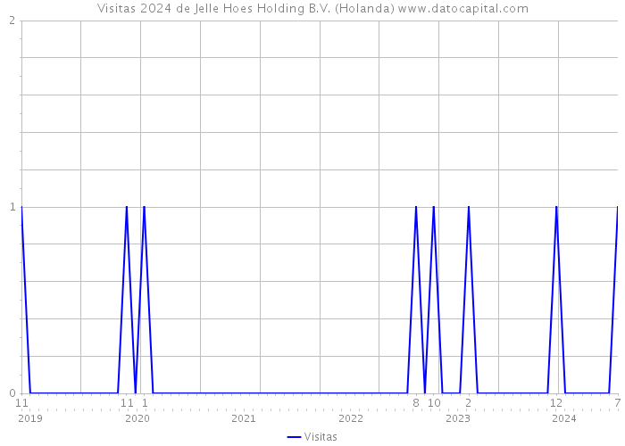 Visitas 2024 de Jelle Hoes Holding B.V. (Holanda) 