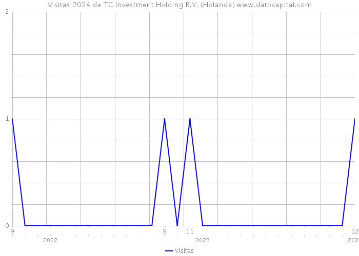 Visitas 2024 de TC Investment Holding B.V. (Holanda) 