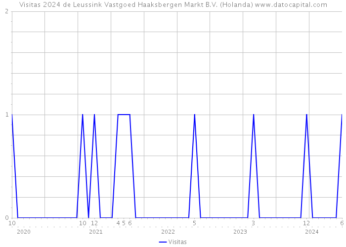 Visitas 2024 de Leussink Vastgoed Haaksbergen Markt B.V. (Holanda) 