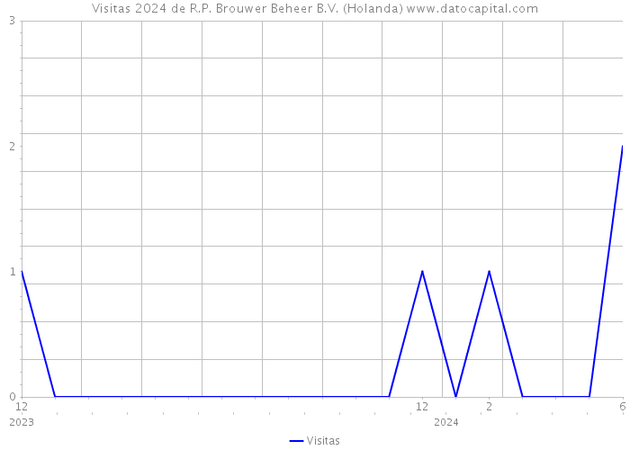 Visitas 2024 de R.P. Brouwer Beheer B.V. (Holanda) 