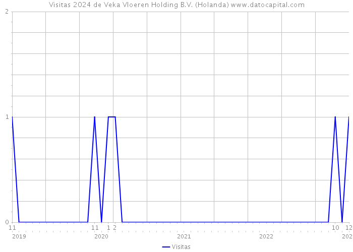 Visitas 2024 de Veka Vloeren Holding B.V. (Holanda) 