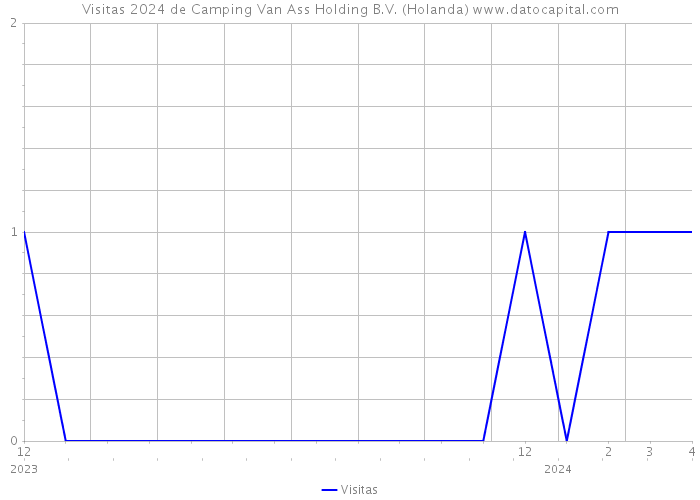 Visitas 2024 de Camping Van Ass Holding B.V. (Holanda) 