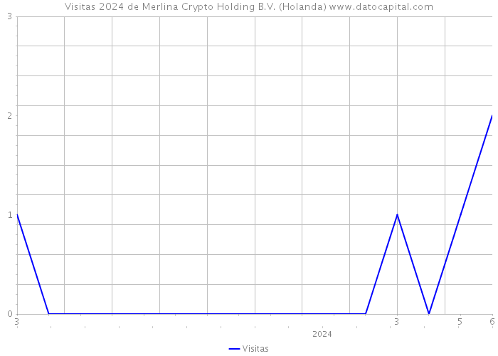 Visitas 2024 de Merlina Crypto Holding B.V. (Holanda) 