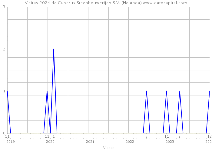 Visitas 2024 de Cuperus Steenhouwerijen B.V. (Holanda) 