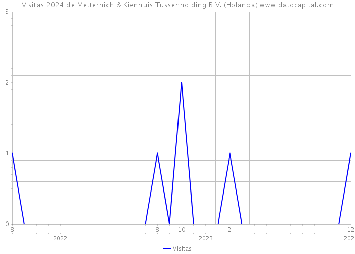 Visitas 2024 de Metternich & Kienhuis Tussenholding B.V. (Holanda) 