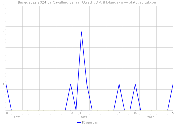 Búsquedas 2024 de Cavallino Beheer Utrecht B.V. (Holanda) 