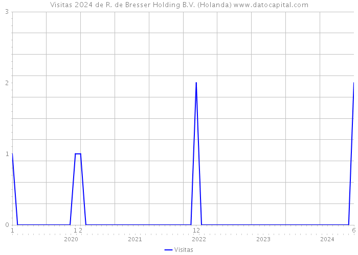 Visitas 2024 de R. de Bresser Holding B.V. (Holanda) 