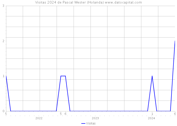 Visitas 2024 de Pascal Wester (Holanda) 