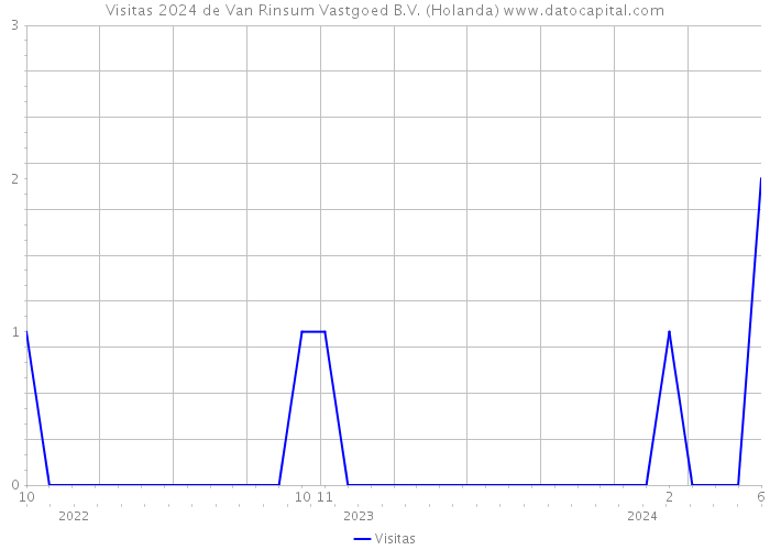 Visitas 2024 de Van Rinsum Vastgoed B.V. (Holanda) 