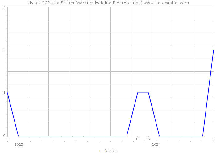 Visitas 2024 de Bakker Workum Holding B.V. (Holanda) 