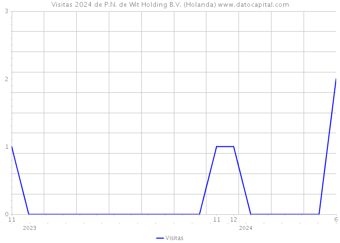 Visitas 2024 de P.N. de Wit Holding B.V. (Holanda) 