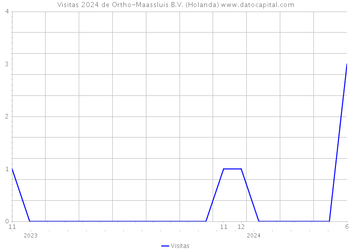 Visitas 2024 de Ortho-Maassluis B.V. (Holanda) 