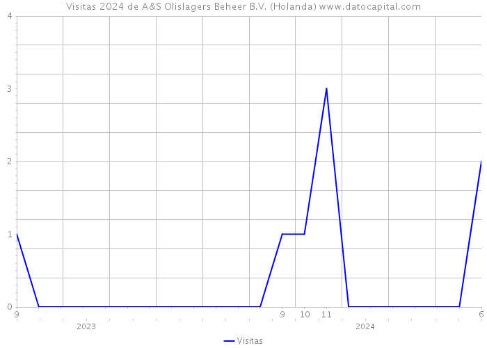 Visitas 2024 de A&S Olislagers Beheer B.V. (Holanda) 