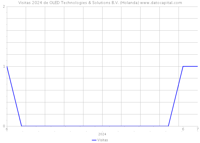 Visitas 2024 de OLED Technologies & Solutions B.V. (Holanda) 