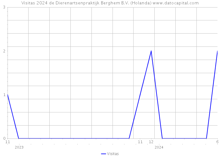 Visitas 2024 de Dierenartsenpraktijk Berghem B.V. (Holanda) 