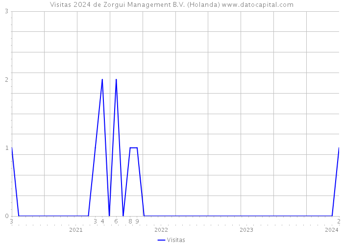 Visitas 2024 de Zorgui Management B.V. (Holanda) 
