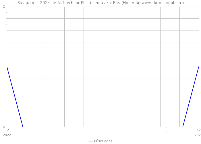 Búsquedas 2024 de Aufderhaar Plastic Industrie B.V. (Holanda) 