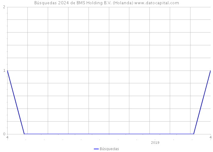 Búsquedas 2024 de BMS Holding B.V. (Holanda) 