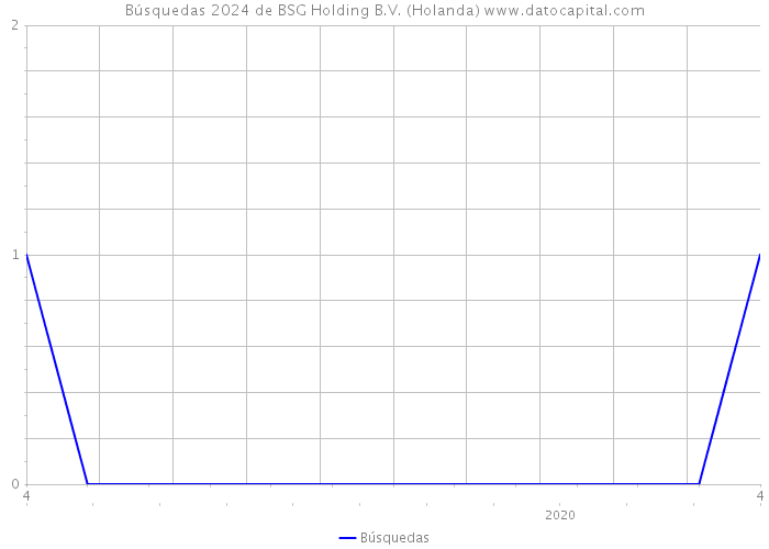 Búsquedas 2024 de BSG Holding B.V. (Holanda) 
