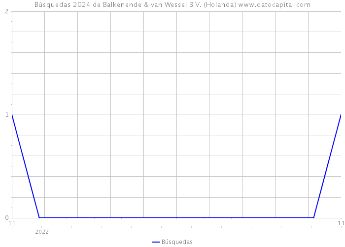 Búsquedas 2024 de Balkenende & van Wessel B.V. (Holanda) 