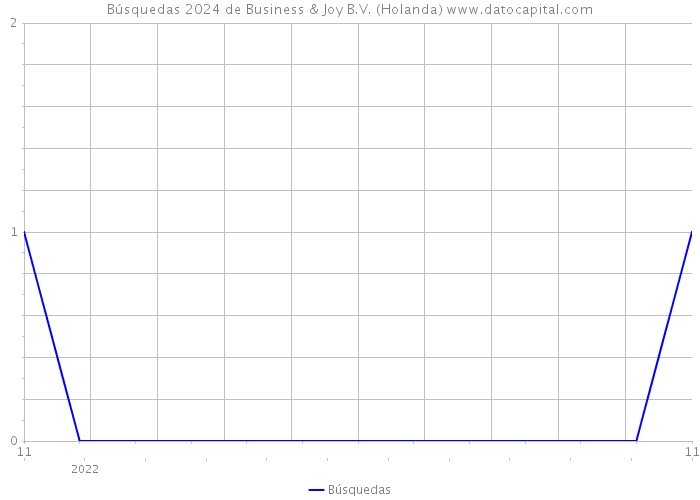 Búsquedas 2024 de Business & Joy B.V. (Holanda) 