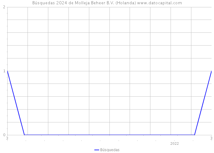 Búsquedas 2024 de Molleja Beheer B.V. (Holanda) 