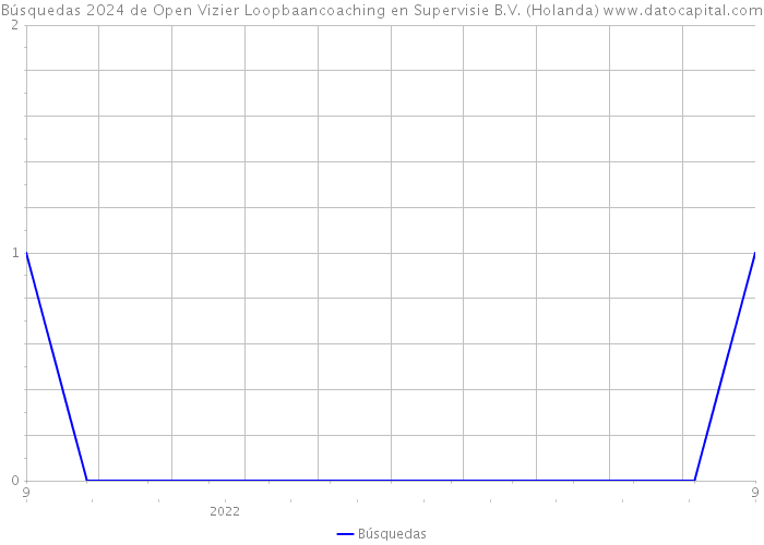 Búsquedas 2024 de Open Vizier Loopbaancoaching en Supervisie B.V. (Holanda) 