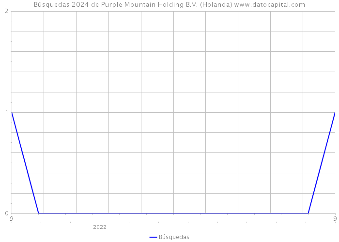 Búsquedas 2024 de Purple Mountain Holding B.V. (Holanda) 