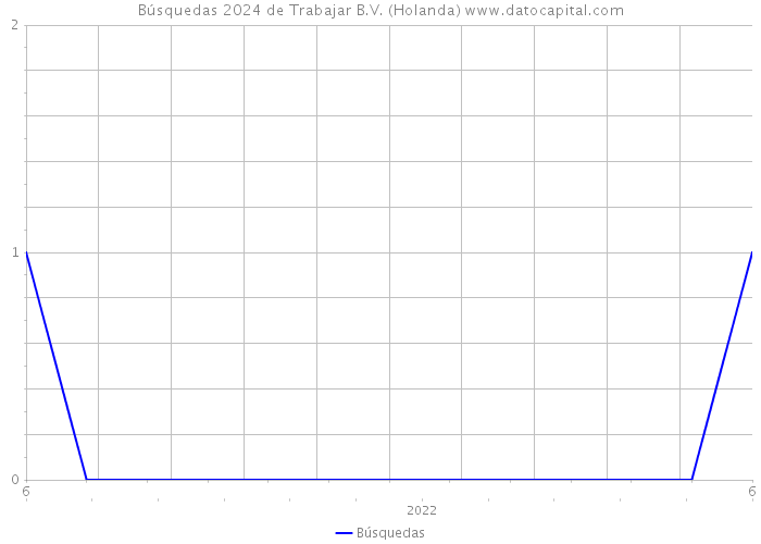 Búsquedas 2024 de Trabajar B.V. (Holanda) 